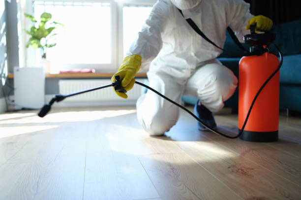 Reliable Hoarding Cleanup contractor in Cairo, IL by Dulley Family Biohazard Services